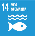 Objetivo de Desarrollo Sostenible, Vida submarina