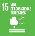 Objetivo de Desarrollo Sostenible, Vida de ecosistemas terrestres