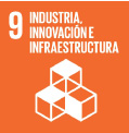 Objetivo de Desarrollo Sostenible, Industrias, innovación e infraestructura
