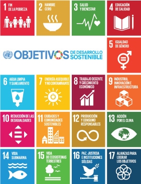 Imagen que lista los diecisiete objetivos de desarrollo sostenible
